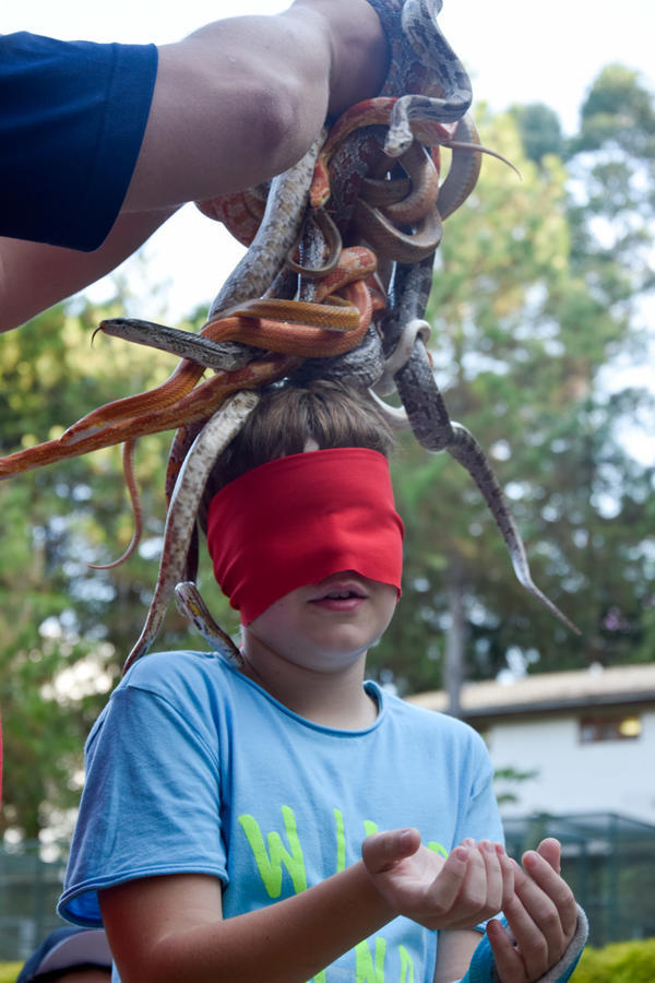 Buy your photos of the eventNR1 - English & Action 25 A 28/05/17 on Fotop