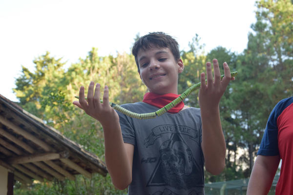 Buy your photos of the eventNR1 - English & Action 25 A 28/05/17 on Fotop