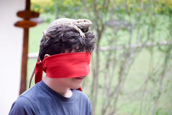 Buy your photos of the eventNR1 - English & Action 25 A 28/05/17 on Fotop