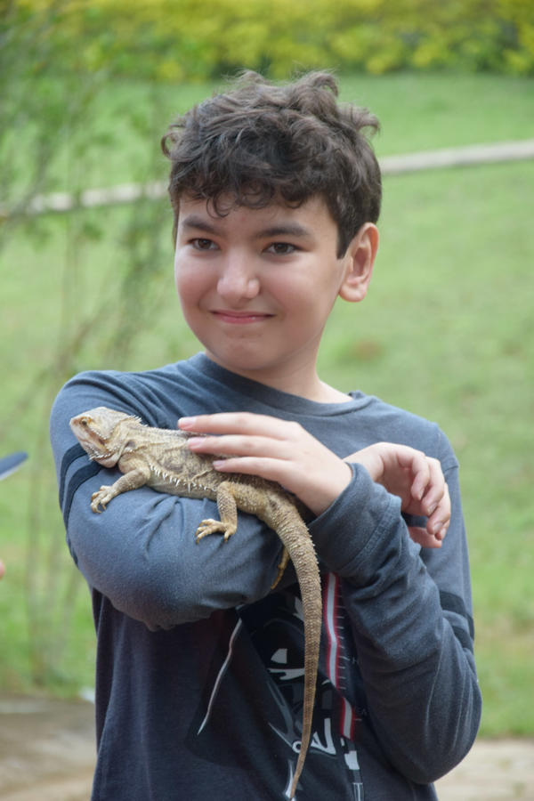 Buy your photos of the eventNR1 - English & Action 25 A 28/05/17 on Fotop