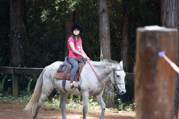 Buy your photos of the eventNR1 - English & Action 25 A 28/05/17 on Fotop