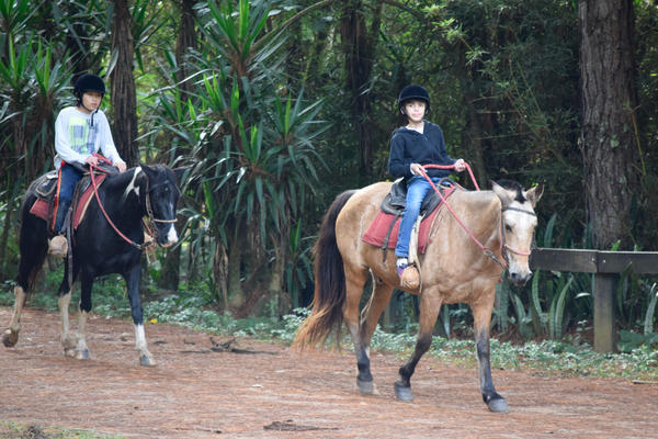 Buy your photos of the eventNR1 - English & Action 25 A 28/05/17 on Fotop