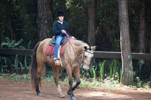 Buy your photos of the eventNR1 - English & Action 25 A 28/05/17 on Fotop