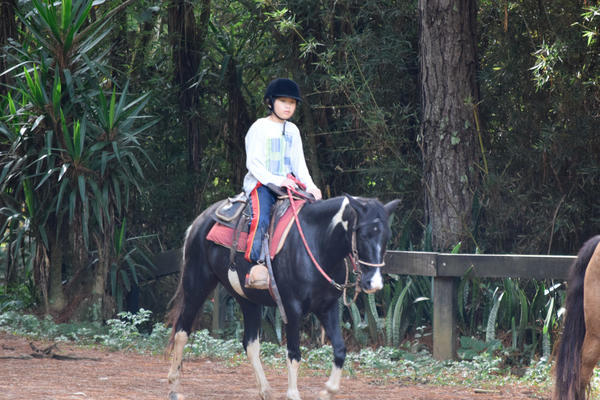 Buy your photos of the eventNR1 - English & Action 25 A 28/05/17 on Fotop