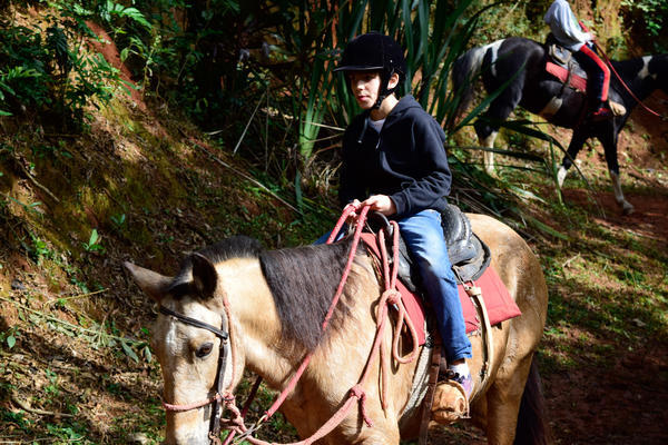 Buy your photos of the eventNR1 - English & Action 25 A 28/05/17 on Fotop