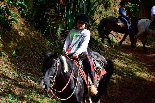 Buy your photos of the eventNR1 - English & Action 25 A 28/05/17 on Fotop