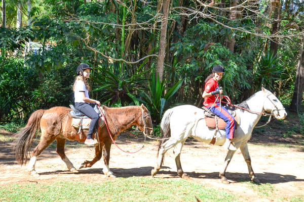 Buy your photos of the eventNR1 - Cl�ssico de 31 a 03/06/17 on Fotop