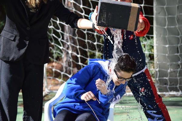 Buy your photos of the eventNR1 - Cl�ssico de 31 a 03/06/17 on Fotop