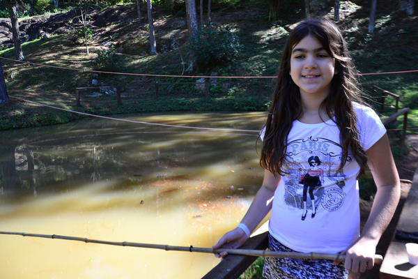 Buy your photos of the eventNR1 - Cl�ssico de 31 a 03/06/17 on Fotop