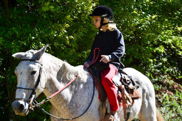 Buy your photos of the eventNR1 - Cl�ssico de 31 a 03/06/17 on Fotop