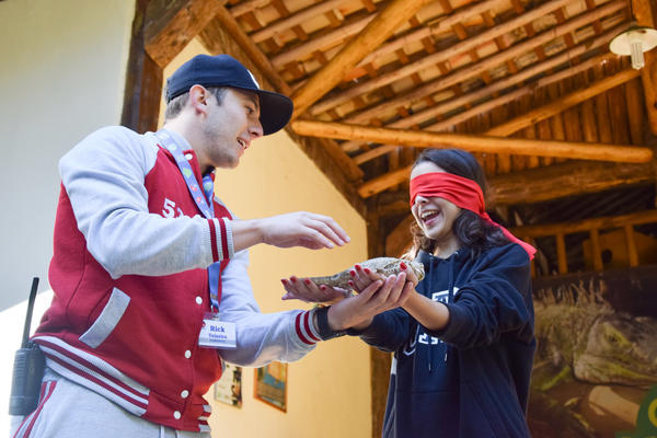 Buy your photos of the eventNR1 - Cl�ssico de 31 a 03/06/17 on Fotop