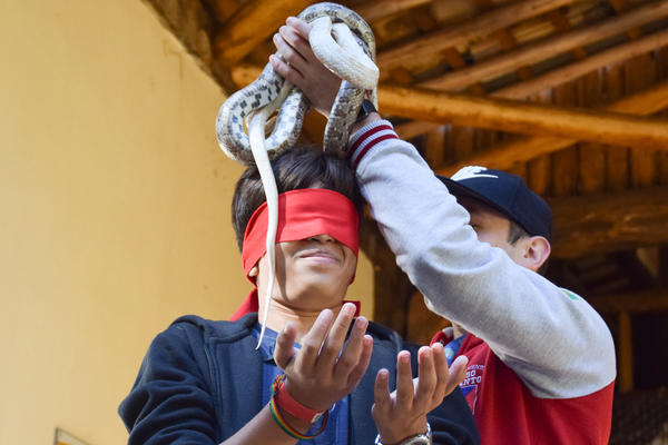 Buy your photos of the eventNR1 - Cl�ssico de 31 a 03/06/17 on Fotop