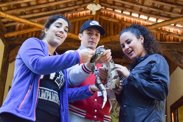 Buy your photos of the eventNR1 - Cl�ssico de 31 a 03/06/17 on Fotop