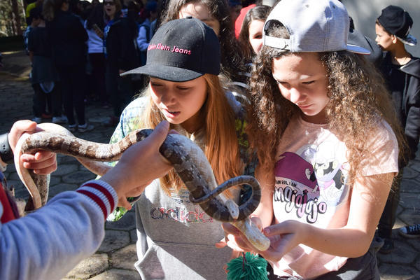 Buy your photos of the eventNR1 - Cl�ssico de 31 a 03/06/17 on Fotop