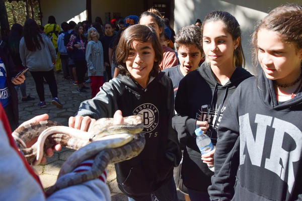 Buy your photos of the eventNR1 - Cl�ssico de 31 a 03/06/17 on Fotop