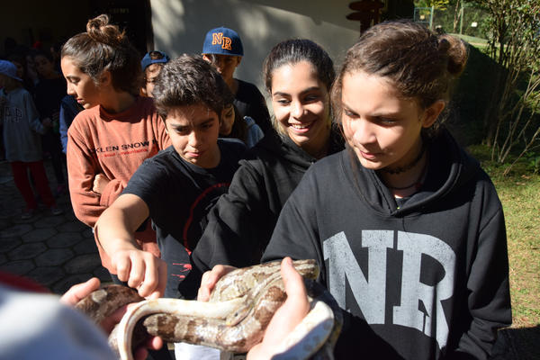 Buy your photos of the eventNR1 - Cl�ssico de 31 a 03/06/17 on Fotop