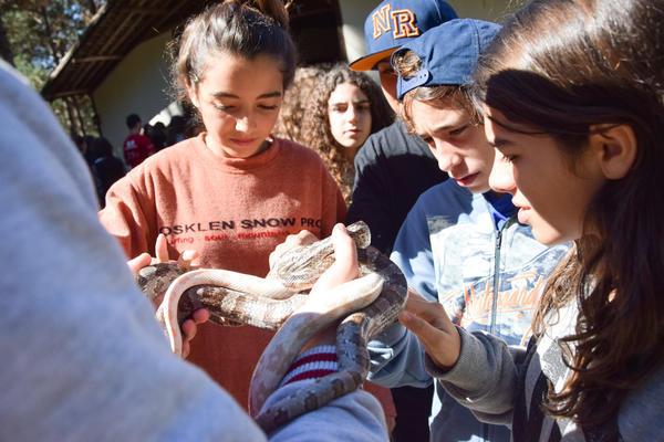 Buy your photos of the eventNR1 - Cl�ssico de 31 a 03/06/17 on Fotop