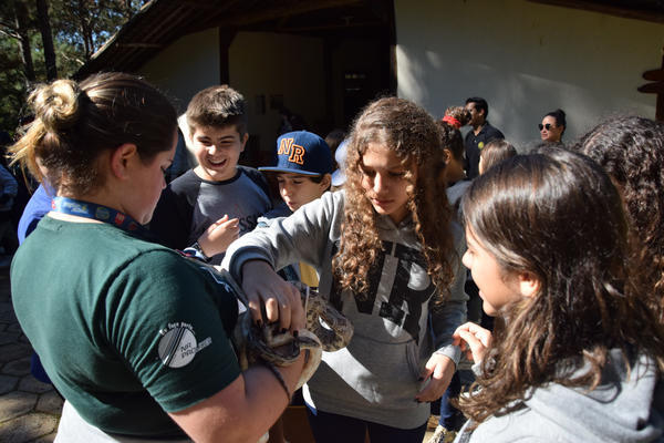 Buy your photos of the eventNR1 - Cl�ssico de 31 a 03/06/17 on Fotop