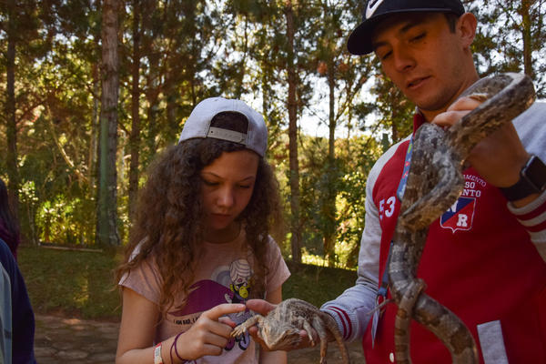 Buy your photos of the eventNR1 - Cl�ssico de 31 a 03/06/17 on Fotop