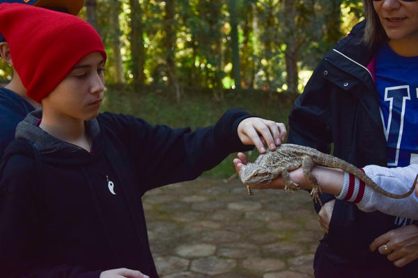 Buy your photos of the eventNR1 - Cl�ssico de 31 a 03/06/17 on Fotop