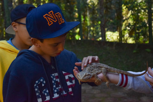 Buy your photos of the eventNR1 - Cl�ssico de 31 a 03/06/17 on Fotop