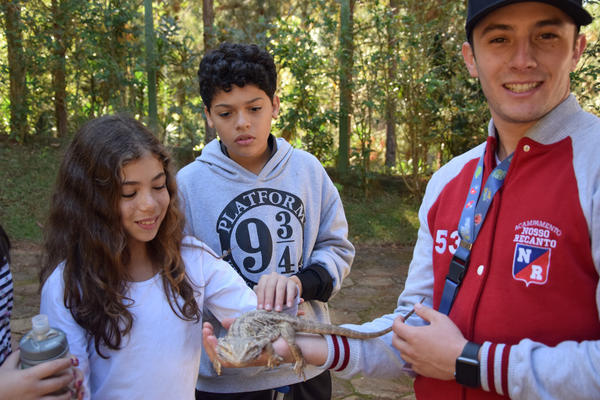 Buy your photos of the eventNR1 - Cl�ssico de 31 a 03/06/17 on Fotop