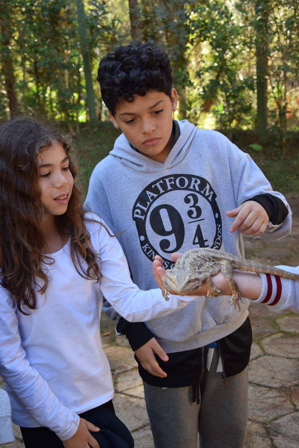 Buy your photos of the eventNR1 - Cl�ssico de 31 a 03/06/17 on Fotop