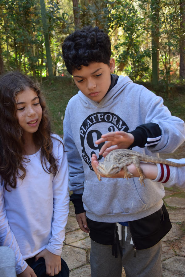 Buy your photos of the eventNR1 - Cl�ssico de 31 a 03/06/17 on Fotop