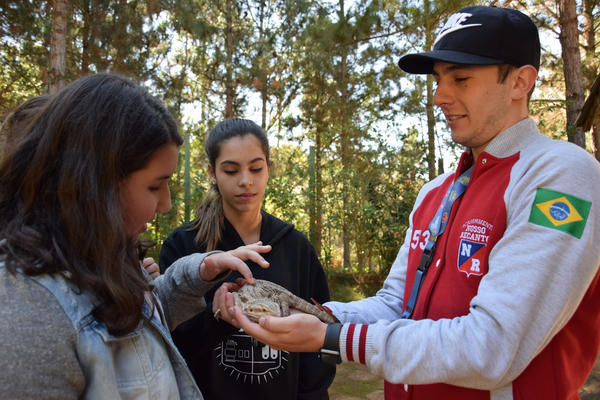 Buy your photos of the eventNR1 - Cl�ssico de 31 a 03/06/17 on Fotop