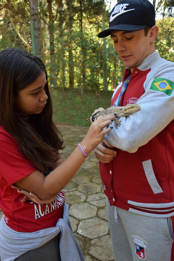 Buy your photos of the eventNR1 - Cl�ssico de 31 a 03/06/17 on Fotop