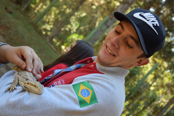 Buy your photos of the eventNR1 - Cl�ssico de 31 a 03/06/17 on Fotop