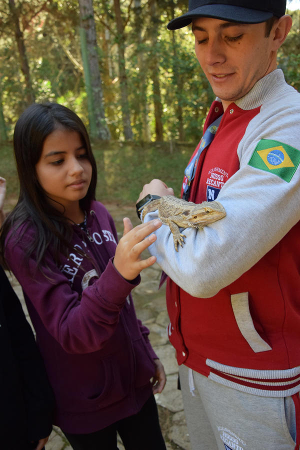 Buy your photos of the eventNR1 - Cl�ssico de 31 a 03/06/17 on Fotop