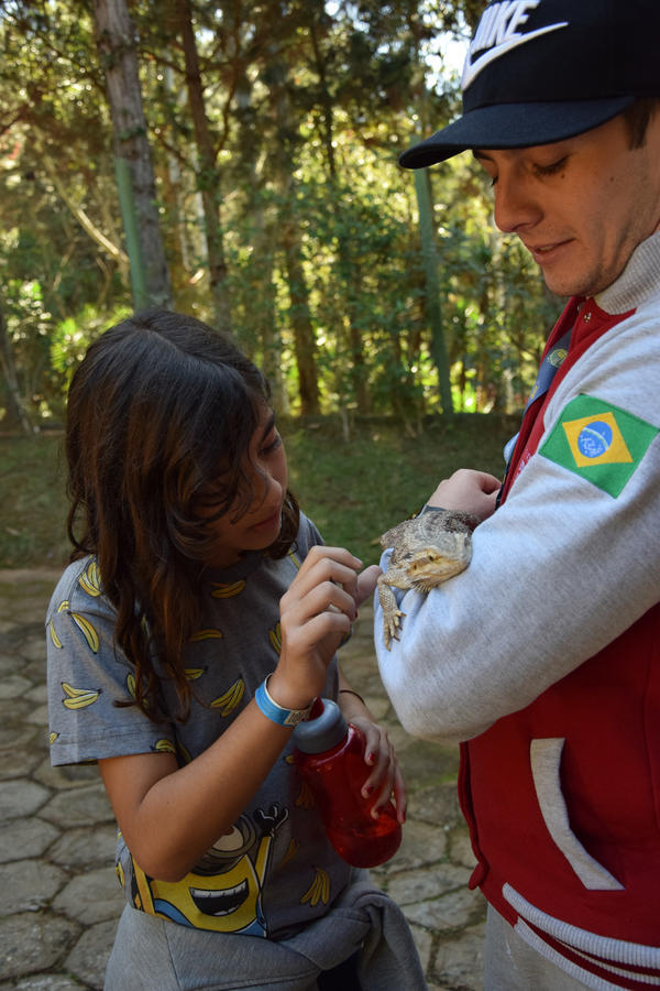 Buy your photos of the eventNR1 - Cl�ssico de 31 a 03/06/17 on Fotop