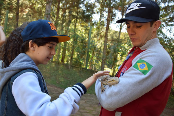 Buy your photos of the eventNR1 - Cl�ssico de 31 a 03/06/17 on Fotop