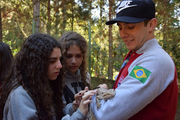 Buy your photos of the eventNR1 - Cl�ssico de 31 a 03/06/17 on Fotop