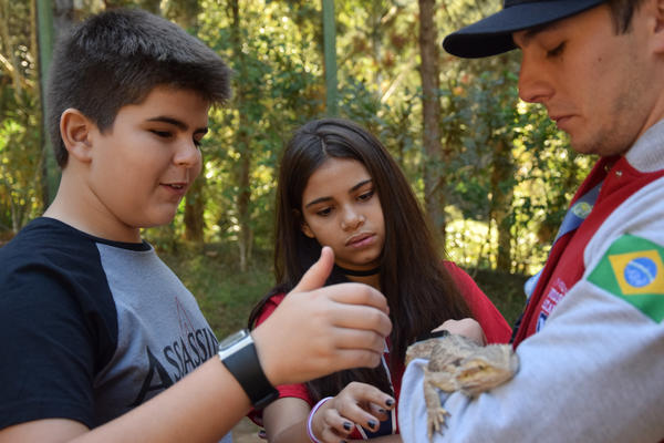 Buy your photos of the eventNR1 - Cl�ssico de 31 a 03/06/17 on Fotop