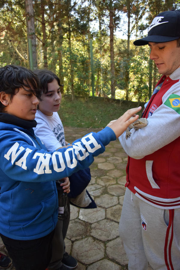 Buy your photos of the eventNR1 - Cl�ssico de 31 a 03/06/17 on Fotop