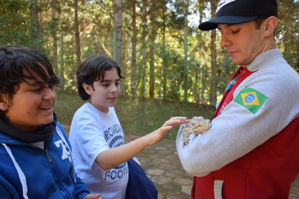 Buy your photos of the eventNR1 - Cl�ssico de 31 a 03/06/17 on Fotop