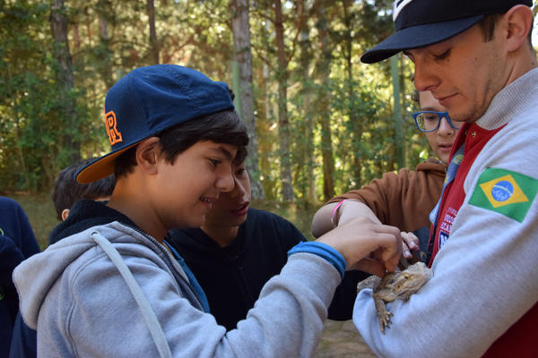 Buy your photos of the eventNR1 - Cl�ssico de 31 a 03/06/17 on Fotop