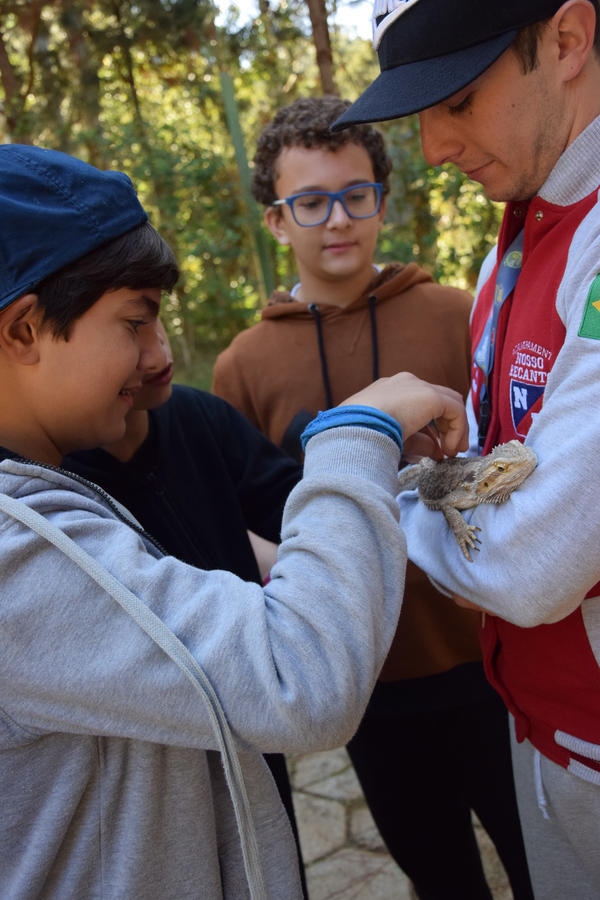 Buy your photos of the eventNR1 - Cl�ssico de 31 a 03/06/17 on Fotop