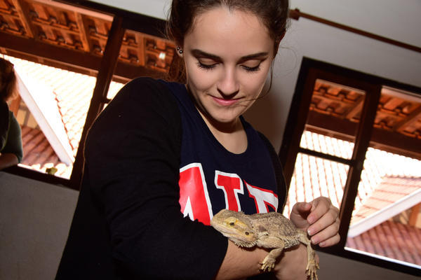 Buy your photos of the eventNR2 - English & Action 02 a 04/06/17 on Fotop