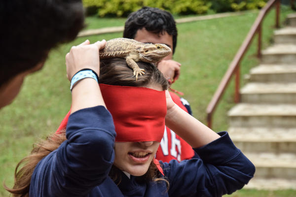 Buy your photos of the eventNR1 - English & Action 05 a 06/07/17 on Fotop