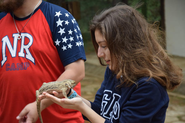 Buy your photos of the eventNR1 - English & Action 05 a 06/07/17 on Fotop