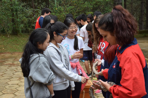 Buy your photos of the eventNR1 - English & Action 05 a 06/07/17 on Fotop