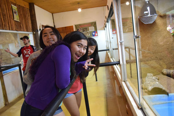 Buy your photos of the eventNR1 - English & Action 05 a 06/07/17 on Fotop