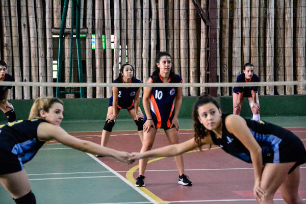 Buy your photos of the eventNR2 - Vila Olimpica 07 a 11/06/17 on Fotop