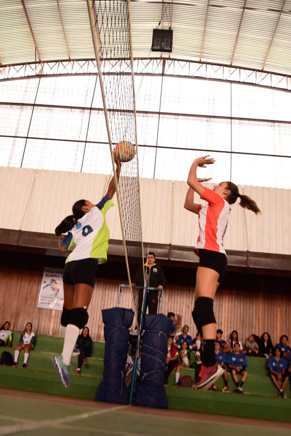 Buy your photos of the eventNR2 - Vila Olimpica 07 a 11/06/17 on Fotop