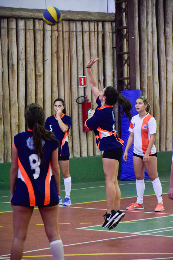 Buy your photos of the eventNR2 - Vila Olimpica 07 a 11/06/17 on Fotop