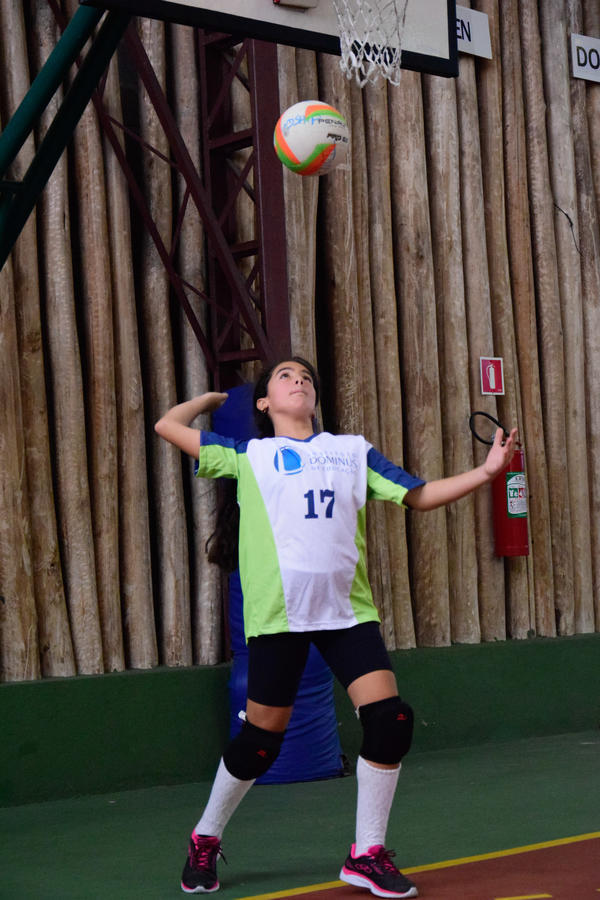 Buy your photos of the eventNR2 - Vila Olimpica 07 a 11/06/17 on Fotop