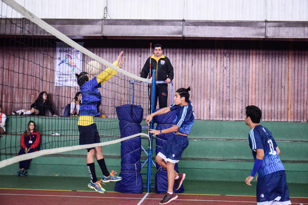 Buy your photos of the eventNR2 - Vila Olimpica 07 a 11/06/17 on Fotop